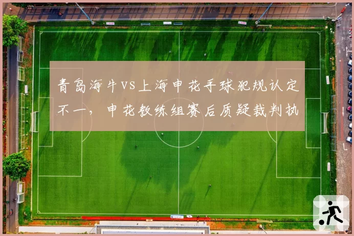 青岛海牛vs上海申花手球犯规认定不一,申花教练组赛后质疑裁判执法标准
