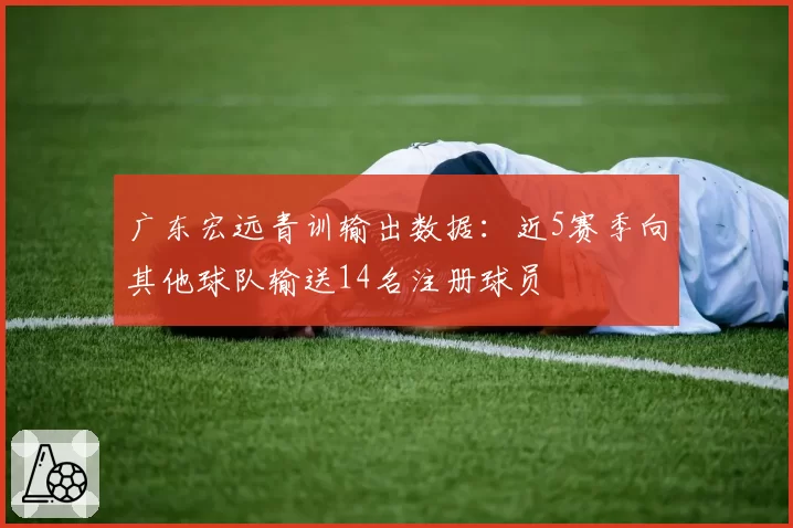 广东宏远青训输出数据：近5赛季向其他球队输送14名注册球员